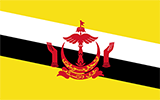 Bruneian Flag